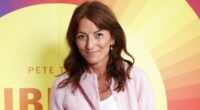 Davina McCall effect sparks 800 per cent rise in women on testosterone to boost libido during menopause - but experts warn the popular claims may be 'misleading'