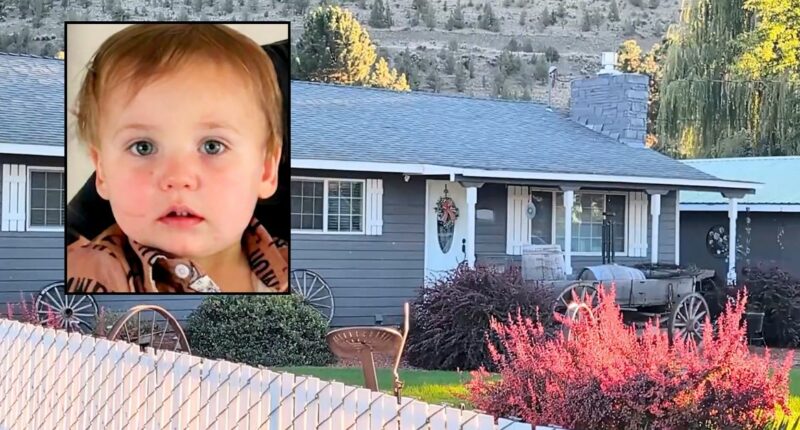 Day care operator allowed toddler to fall into livestock water trough and drown while watching 14 children without a license, police say