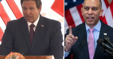 DeSantis says he's taking up Jeffries' invitation to 'F around and find out' on Florida redistricting effort