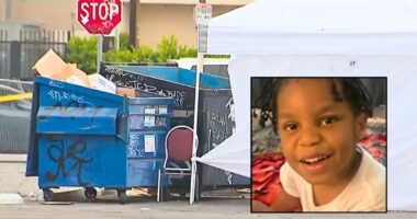 Dead 5-year-old put in dumpster wrapped in 'throw blanket'
