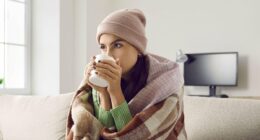 Deadly flea-borne illness hits record levels... as experts warn of serious disease that hospitalizes 90% of patients