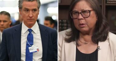 Dem California governor candidate grades Gavin Newsom's performance