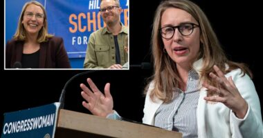 Dem Rep Hillary Scholten fought to conceal divorce docs because they cause 'irreparable reputational harm'