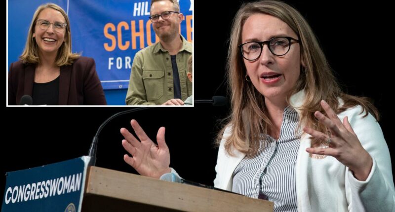 Dem Rep Hillary Scholten fought to conceal divorce docs because they cause 'irreparable reputational harm'