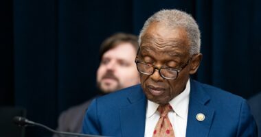 Democrat, 80, suddenly DIES after worries about his age