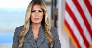 Democrat leading Epstein files charge wants to team up with Melania Trump on dramatic expose… and plots surprise for King Charles