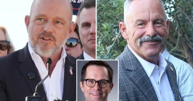 Dems are right to panic about California gov's race: top polling expert