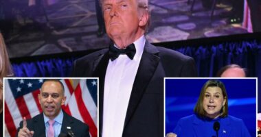 Dems ripped for anti-Trump rhetoric after third assassination attempt during WHCD shooting