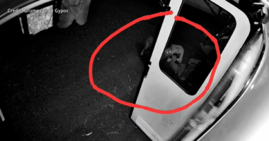 Dingoes attack young girl and mother at popular campsite