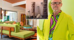 Disney artist behind iconic theme park designs warns thief who targeted Palm Springs home