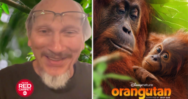 Disneynature's 'Orangutan' producer Roy Conli on finding the story and working with Josh Gad