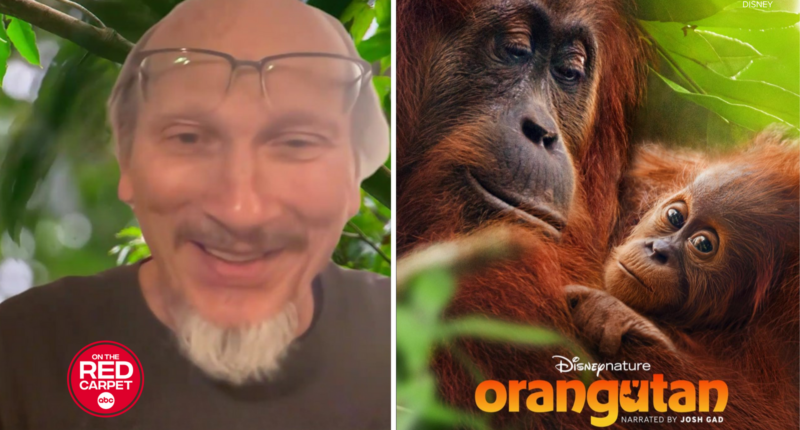 Disneynature's 'Orangutan' producer Roy Conli on finding the story and working with Josh Gad