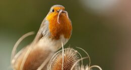 Does it pay to be an early bird Isa investor? Why racing to use up your new tax allowance is worth doing