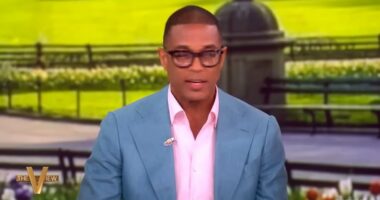Don Lemon says he got 'N-word treatment' from federal agents as former CNN star reveals details of arrest on The View