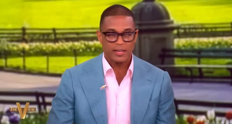 Don Lemon says he got 'N-word treatment' from federal agents as former CNN star reveals details of arrest on The View