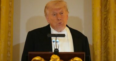 Donald Trump interrupts his speech to King Charles to praise 'unconquerable' Rory McIlroy during State Dinner at White House