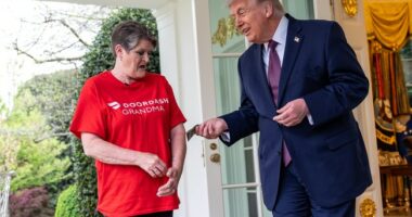 DoorDash Grandma Hard at Work: Thanks Trump for 'No Tax on Tips' on McDonald's Delivery to Oval Office