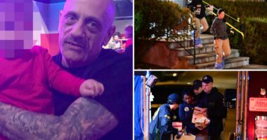 Dozens of pipe bombs discovered in suburban NY apartment after neighbors heard loud booms for weeks