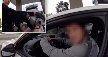 Driver arrested after demanding free gas at Orange County station