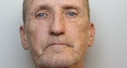 Drunk Ryanair passenger is jailed after he forced aborted landing