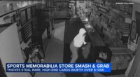 Dunning, Chicago crime: Surveillance video shows smash-and-grab thieves taking Pokemon cards from Elite Sports Cards and Comics