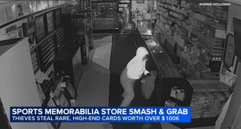 Dunning, Chicago crime: Surveillance video shows smash-and-grab thieves taking Pokemon cards from Elite Sports Cards and Comics