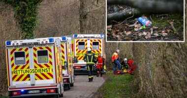 Easter egg hunt tragedy leaves young mother, her baby and teenager dead