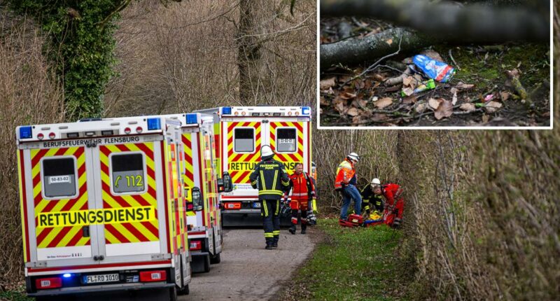 Easter egg hunt tragedy leaves young mother, her baby and teenager dead