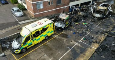 Eight arrested by counter-terror police over London arson attacks