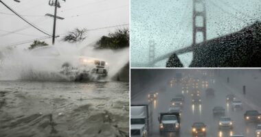 El Nino odds spike to 61% as scientists warn of possible âvery strongâ climate event