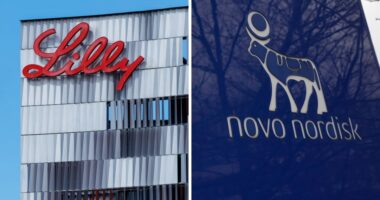 Eli Lilly market share drops, Novo Nordisk holds firm as generic weight-loss drugs flood India