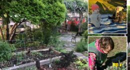 Elite Minds Montessori fighting for access to Red Hook garden