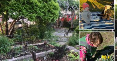 Elite Minds Montessori fighting for access to Red Hook garden
