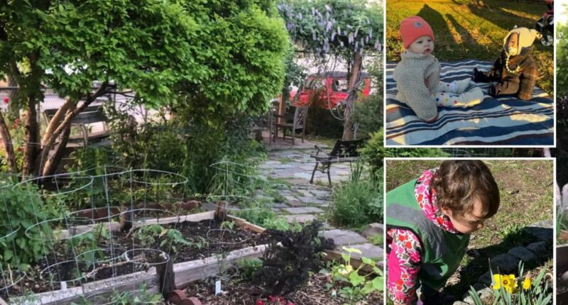 Elite Minds Montessori fighting for access to Red Hook garden