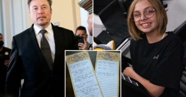 Elon Musk fulfills teen cancer patient's last wish in touching X post