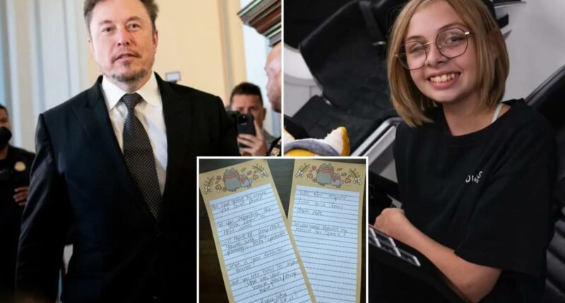 Elon Musk fulfills teen cancer patient's last wish in touching X post