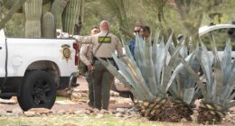 Emails reveal reality TV crew’s behind-the-scenes access to sheriff now leading Nancy Guthrie probe