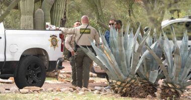 Emails reveal reality TV crew’s behind-the-scenes access to sheriff now leading Nancy Guthrie probe