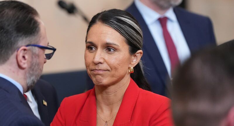 Embattled Tulsi Gabbard fights through rivals pushing for her exit