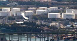 Energy transition to renewables in Seoul, South Korea: Minister