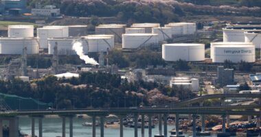 Energy transition to renewables in Seoul, South Korea: Minister