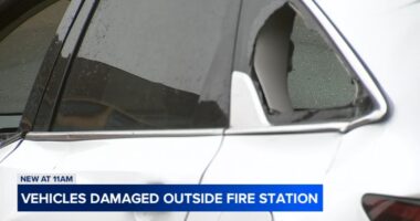 Englewood, Chicago crime: Jacob Bogdan arrested, accused of being ax-wielding man, targets Chicago Fire Department cars