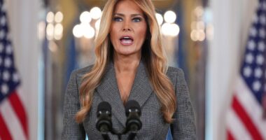 Epstein survivors claim Melania Trump is 'diverting attention'