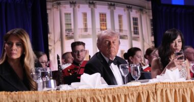 Every security failure at White House Correspondents' Dinner exposed
