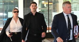 Ex-NRL star Curtis Scott cleared to fight in bare-knuckle match after assault charges