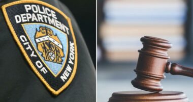 Ex-NYPD cop convicted of perjury for lying about circumstances of 2009 Bronx shooting