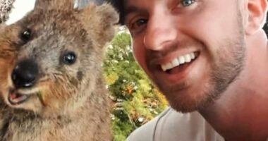 Ex-military sniper who executed bikie at drag racing meet unmasked