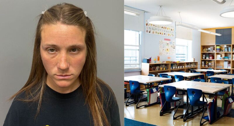 Ex-teacher faces 25 charges, including rape and abuse as investigation widens