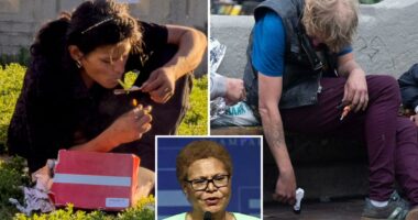 Exclusive | Gavin Newsom’s nemesis demands strict new test for homeless — as LA burns $300M on doomed program