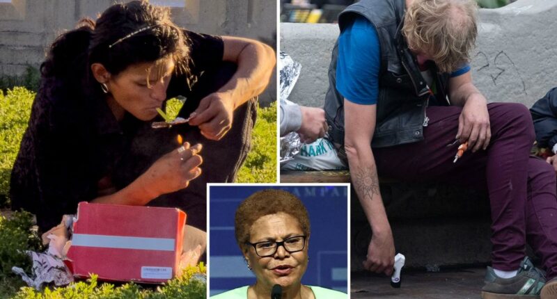 Exclusive | Gavin Newsom’s nemesis demands strict new test for homeless — as LA burns $300M on doomed program